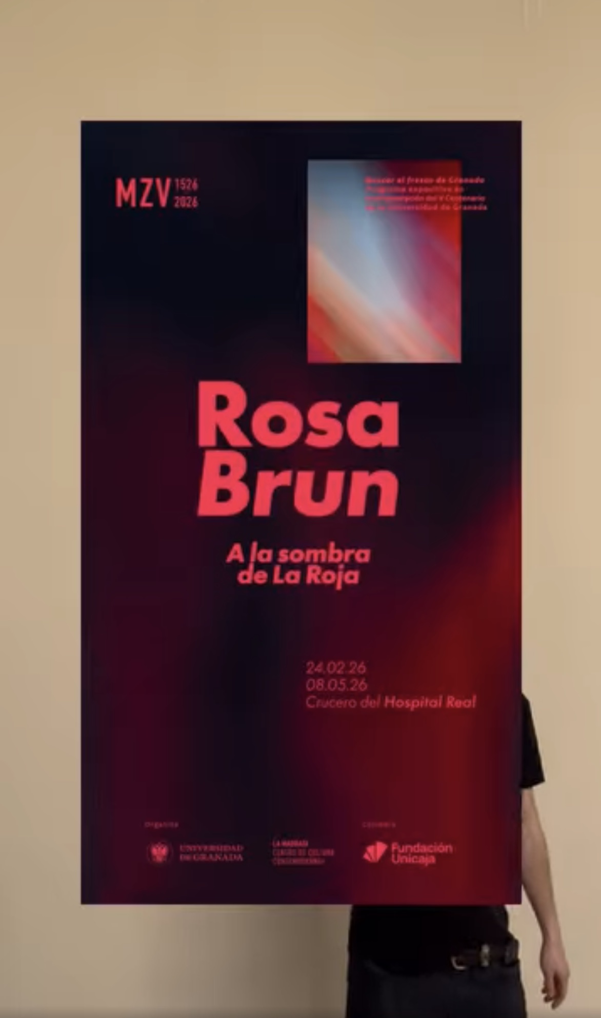 A la sombra de La Roja